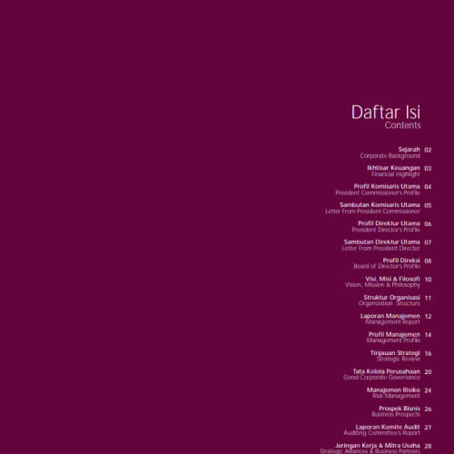 Annual Report 2008