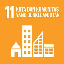 SDG 11