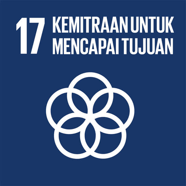 SDG 17