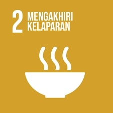 SDG 2